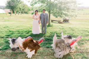 spring wedding bride and groom with turkeys